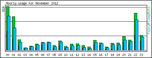Hourly usage