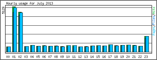 Hourly usage