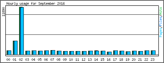 Hourly usage