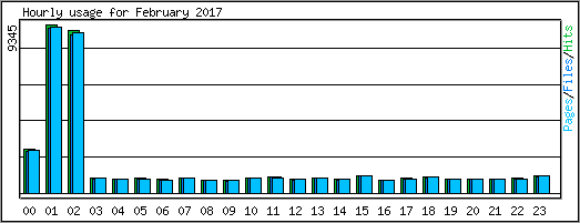 Hourly usage