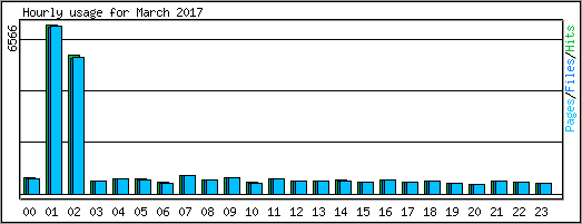 Hourly usage