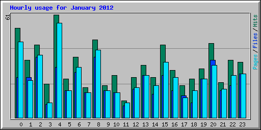 Hourly usage for January 2012
