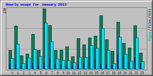 Hourly usage for January 2013