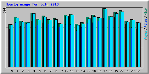 Hourly usage for July 2013