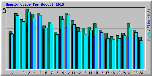 Hourly usage for August 2013