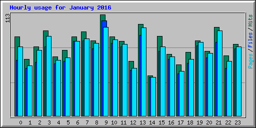 Hourly usage for January 2016