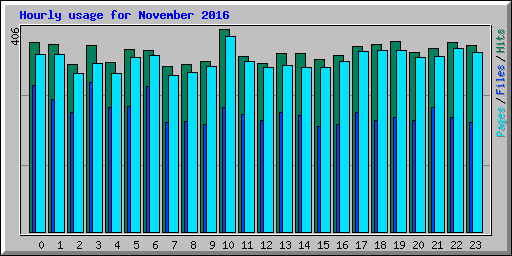 Hourly usage for November 2016