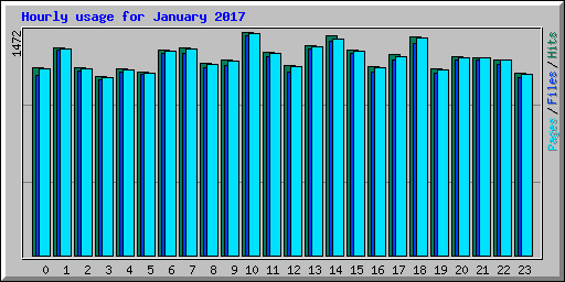 Hourly usage for January 2017